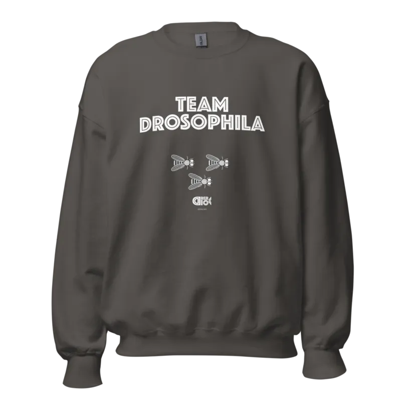 Team Drosophila Unisex Sweatshirt in Charcoal