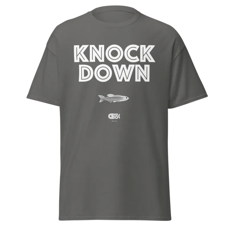 Knock Down Unisex Classic Tee in Charcoal