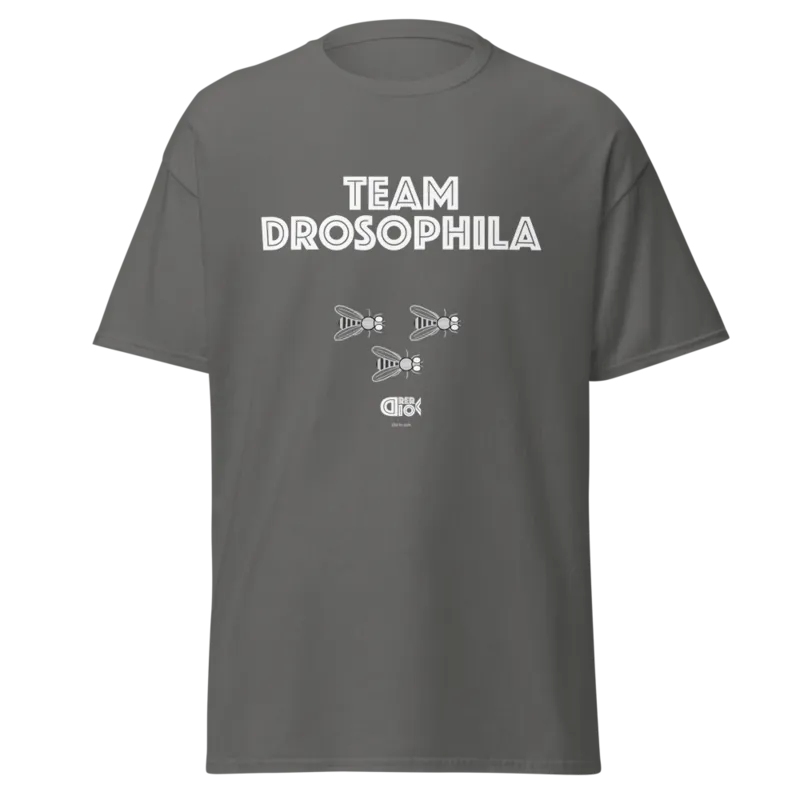 Team Drosophila Unisex Classic Tee in Charcoal