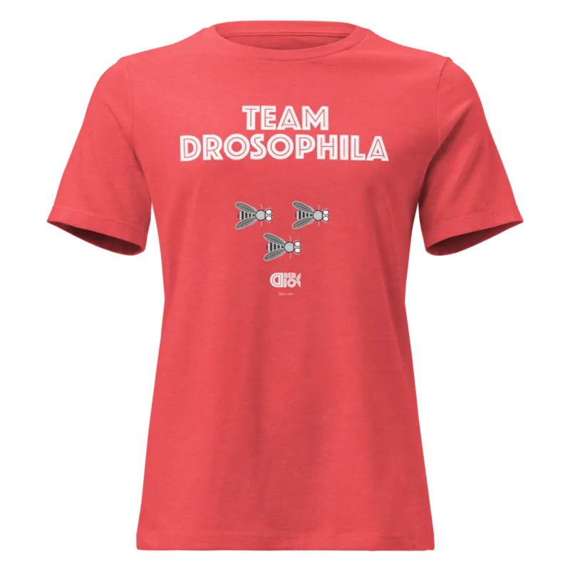 Team Drosophila Women's Relaxed T-Shirt in Heather Red
